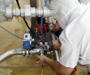 Screen Shot 2021-09-25 at 12.08.43